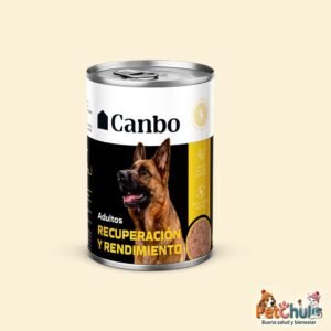 Canbo Recuperación y Rendimiento