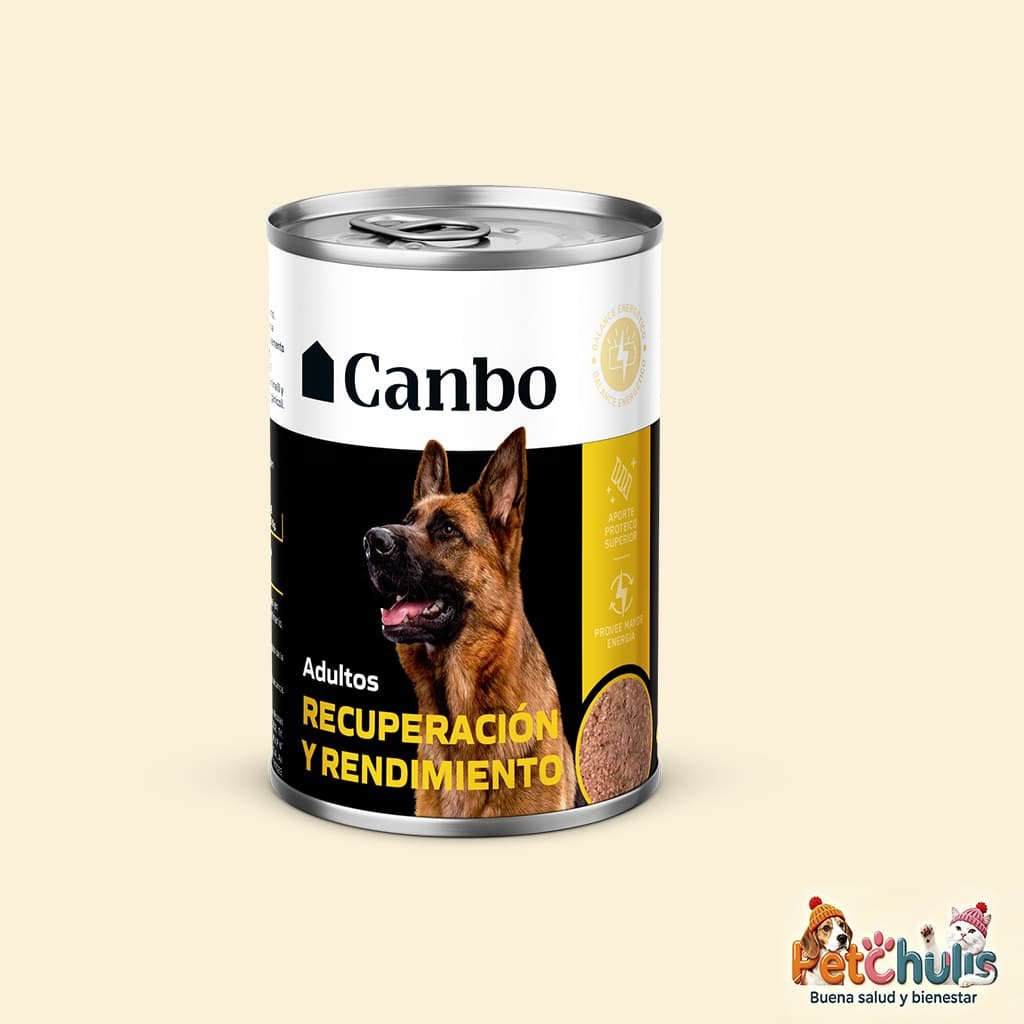 Canbo Recuperación y Rendimiento