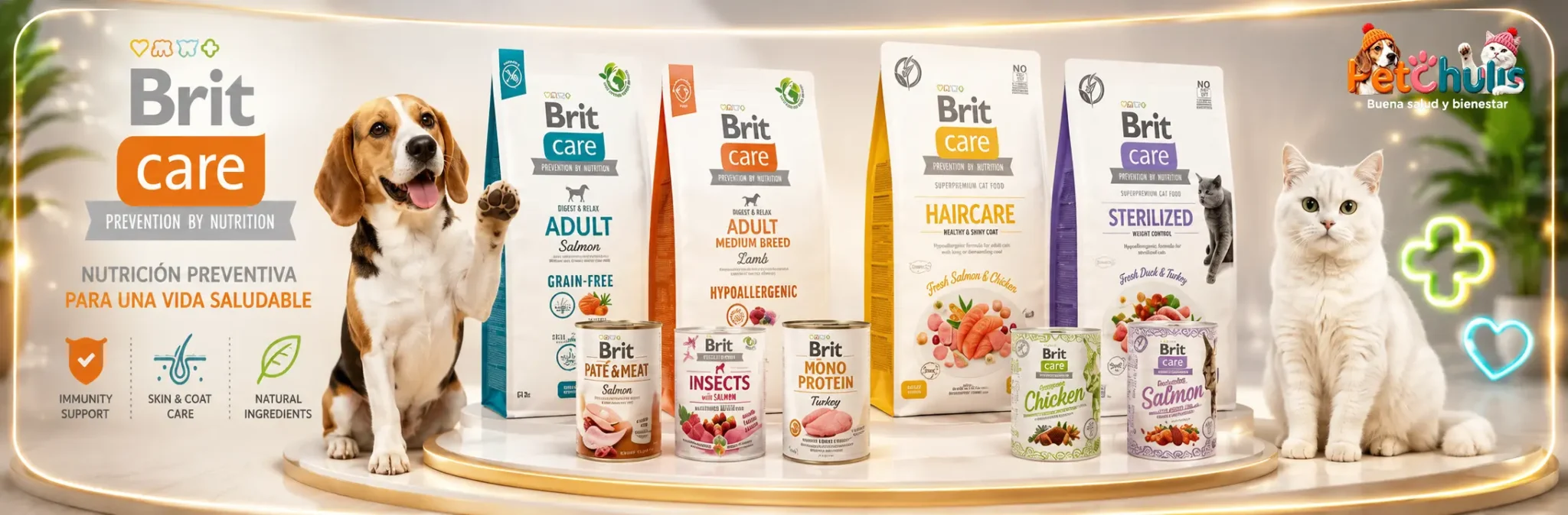 Banner-Brit-care.webp