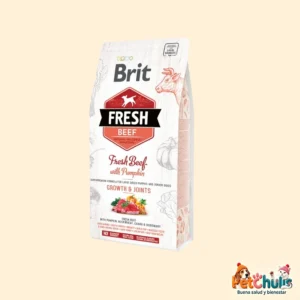 Brit Fresh Beef with Pumpkin Puppy Large 12kg