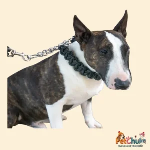 Correa y Collar para Perro Pet Show de Cuerda Trenzada 2