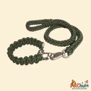 Correa y Collar para Perro Pet Show de Cuerda Trenzada