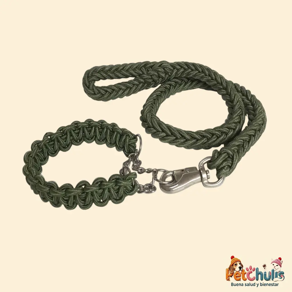 Correa y Collar para Perro Pet Show de Cuerda Trenzada